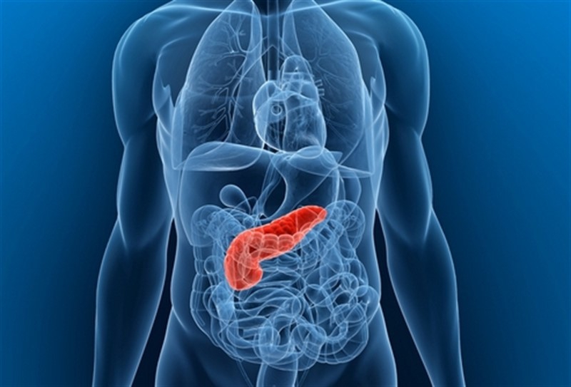 Updated Pancreatic Cancer Data Presented At International Cancer Conference